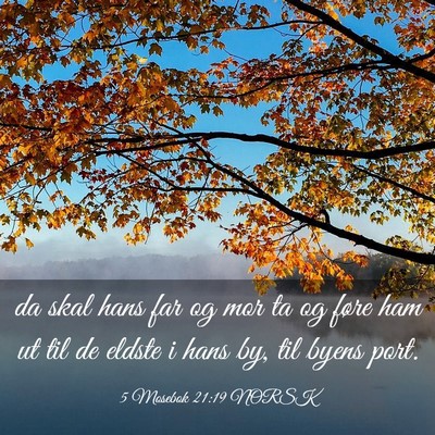 Picture 03 - 5 Mosebok 21:19 NORSK - da skal hans far og mor ta og føre ham ut til de - Bible Verse Picture