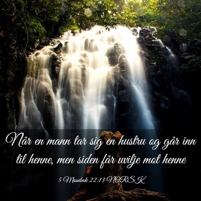 Picture 03 - 5 Mosebok 22:13 NORSK - Når en mann tar sig en hustru og går inn til - Bible Verse Picture