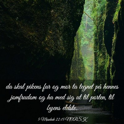 Picture 03 - 5 Mosebok 22:15 NORSK - da skal pikens far og mor ta tegnet på hennes - Bible Verse Picture