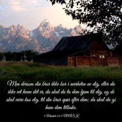 Picture 03 - 5 Mosebok 22:2 NORSK - Men dersom din bror ikke bor i nærheten av dig, - Bible Verse Picture