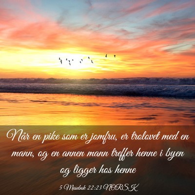 Picture 03 - 5 Mosebok 22:23 NORSK - Når en pike som er jomfru, er trolovet med en - Bible Verse Picture