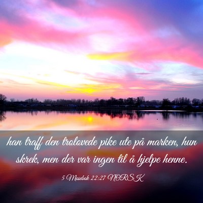 Picture 03 - 5 Mosebok 22:27 NORSK - han traff den trolovede pike ute på marken, hun - Bible Verse Picture