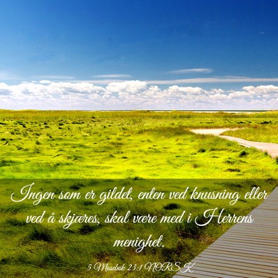 Picture 03 - 5 Mosebok 23:1 NORSK - Ingen som er gildet, enten ved knusning eller ved - Bible Verse Picture