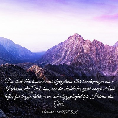 Picture 03 - 5 Mosebok 23:18 NORSK - Du skal ikke komme med skjøgelønn eller - Bible Verse Picture