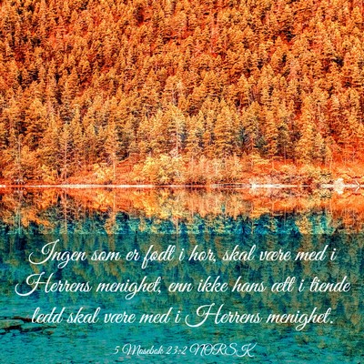 Picture 03 - 5 Mosebok 23:2 NORSK - Ingen som er født i hor, skal være med i - Bible Verse Picture