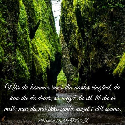 Picture 03 - 5 Mosebok 23:24 NORSK - Når du kommer inn i din næstes vingård, da kan - Bible Verse Picture