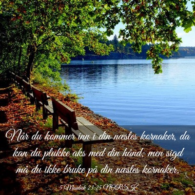 Picture 03 - 5 Mosebok 23:25 NORSK - Når du kommer inn i din næstes kornaker, da kan - Bible Verse Picture