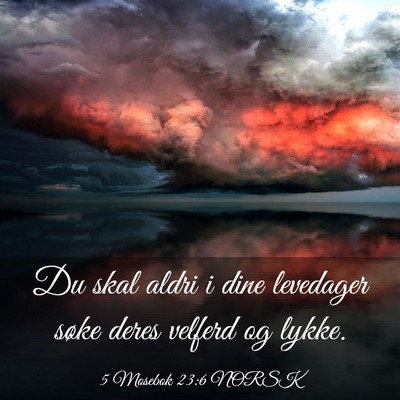 Picture 03 - 5 Mosebok 23:6 NORSK - Du skal aldri i dine levedager søke deres - Bible Verse Picture