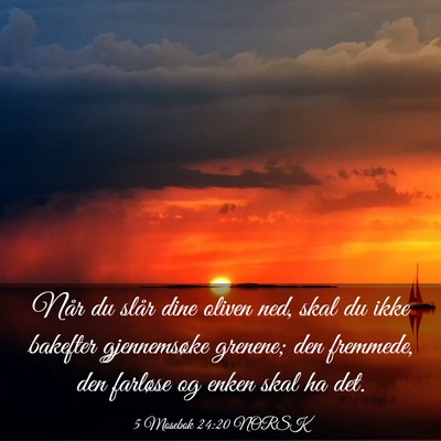 Picture 03 - 5 Mosebok 24:20 NORSK - Når du slår dine oliven ned, skal du ikke - Bible Verse Picture