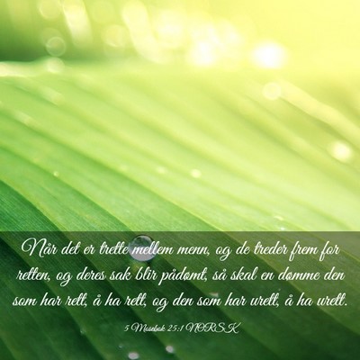 Picture 03 - 5 Mosebok 25:1 NORSK - Når det er trette mellem menn, og de treder frem - Bible Verse Picture