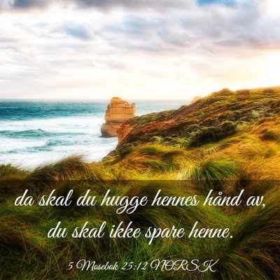 Picture 03 - 5 Mosebok 25:12 NORSK - da skal du hugge hennes hånd av, du skal ikke - Bible Verse Picture