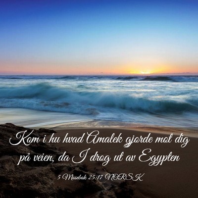 Picture 03 - 5 Mosebok 25:17 NORSK - Kom i hu hvad Amalek gjorde mot dig på veien, da - Bible Verse Picture