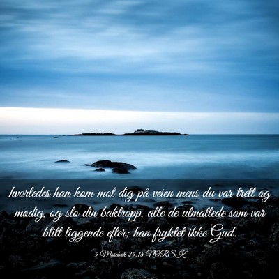 Picture 03 - 5 Mosebok 25:18 NORSK - hvorledes han kom mot dig på veien mens du var - Bible Verse Picture