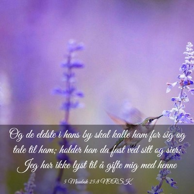 Picture 03 - 5 Mosebok 25:8 NORSK - Og de eldste i hans by skal kalle ham for sig og - Bible Verse Picture