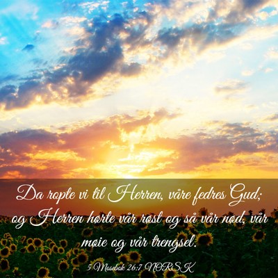 Picture 03 - 5 Mosebok 26:7 NORSK - Da ropte vi til Herren, våre fedres Gud; og - Bible Verse Picture