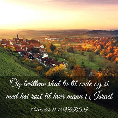 Picture 03 - 5 Mosebok 27:14 NORSK - Og levittene skal ta til orde og si med høi - Bible Verse Picture