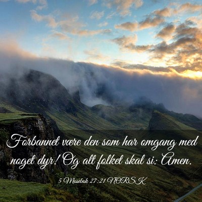 Picture 03 - 5 Mosebok 27:21 NORSK - Forbannet være den som har omgang med noget dyr! - Bible Verse Picture