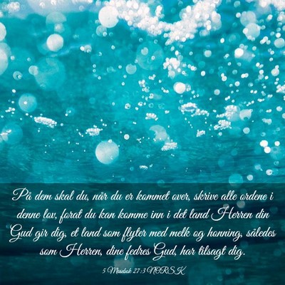 Picture 03 - 5 Mosebok 27:3 NORSK - På dem skal du, når du er kommet over, skrive - Bible Verse Picture
