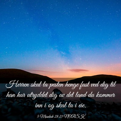 Picture 03 - 5 Mosebok 28:21 NORSK - Herren skal la pesten henge fast ved dig til han - Bible Verse Picture