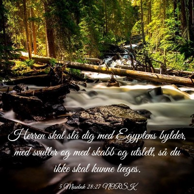 Picture 03 - 5 Mosebok 28:27 NORSK - Herren skal slå dig med Egyptens bylder, med - Bible Verse Picture