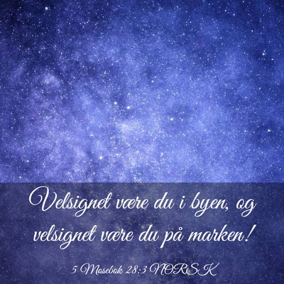 Picture 03 - 5 Mosebok 28:3 NORSK - Velsignet være du i byen, og velsignet være du - Bible Verse Picture