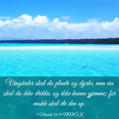 Picture 03 - 5 Mosebok 28:39 NORSK - Vingårder skal du plante og dyrke, men vin skal - Bible Verse Picture