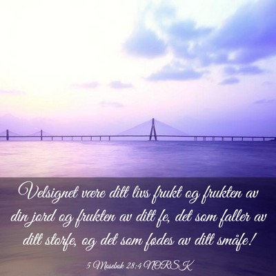 Picture 03 - 5 Mosebok 28:4 NORSK - Velsignet være ditt livs frukt og frukten av din - Bible Verse Picture