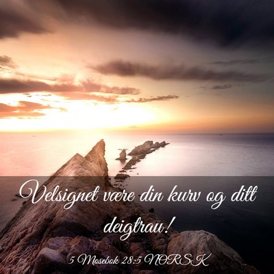 Picture 03 - 5 Mosebok 28:5 NORSK - Velsignet være din kurv og ditt - Bible Verse Picture