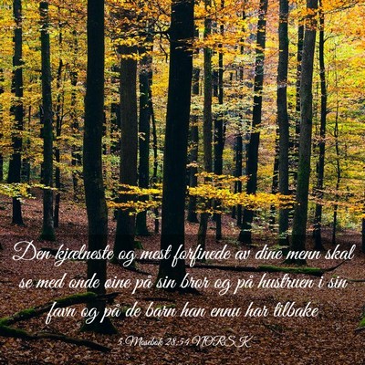Picture 03 - 5 Mosebok 28:54 NORSK - Den kjælneste og mest forfinede av dine menn - Bible Verse Picture