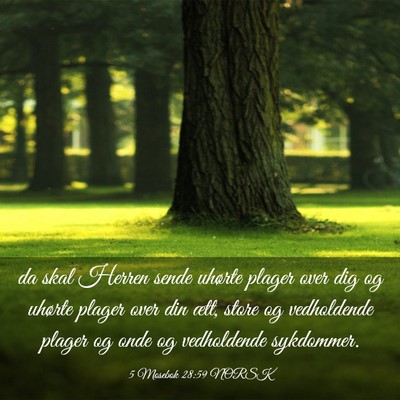 Picture 03 - 5 Mosebok 28:59 NORSK - da skal Herren sende uhørte plager over dig og - Bible Verse Picture