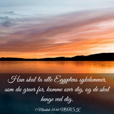 Picture 03 - 5 Mosebok 28:60 NORSK - Han skal la alle Egyptens sykdommer, som du gruer - Bible Verse Picture