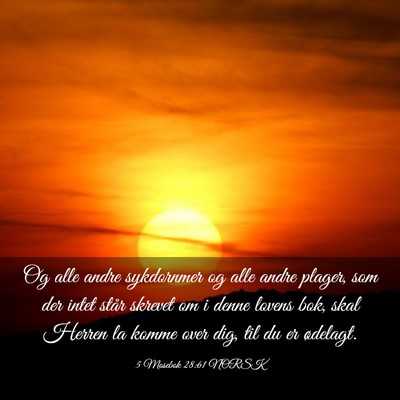 Picture 03 - 5 Mosebok 28:61 NORSK - Og alle andre sykdornmer og alle andre plager, - Bible Verse Picture