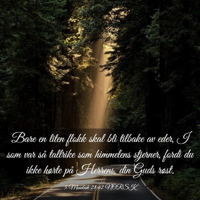 Picture 03 - 5 Mosebok 28:62 NORSK - Bare en liten flokk skal bli tilbake av eder, I - Bible Verse Picture