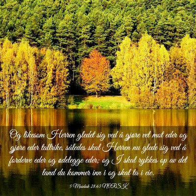 Picture 03 - 5 Mosebok 28:63 NORSK - Og likesom Herren gledet sig ved å gjøre vel - Bible Verse Picture