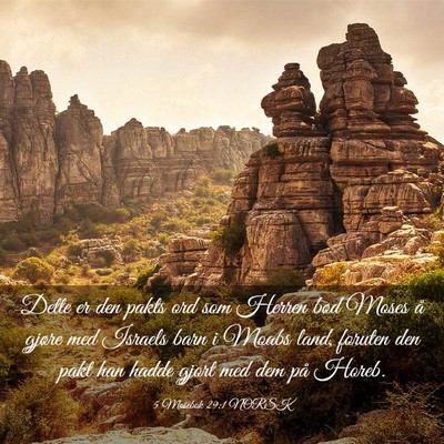 Picture 03 - 5 Mosebok 29:1 NORSK - Dette er den pakts ord som Herren bød Moses å - Bible Verse Picture