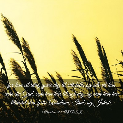 Picture 03 - 5 Mosebok 29:13 NORSK - for han vil idag gjøre dig til sitt folk, og - Bible Verse Picture