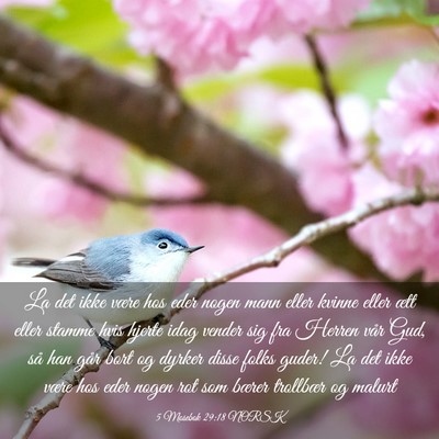 Picture 03 - 5 Mosebok 29:18 NORSK - La det ikke være hos eder nogen mann eller - Bible Verse Picture