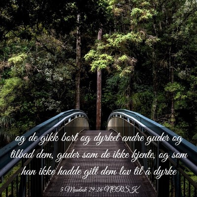 Picture 03 - 5 Mosebok 29:26 NORSK - og de gikk bort og dyrket andre guder og tilbad - Bible Verse Picture