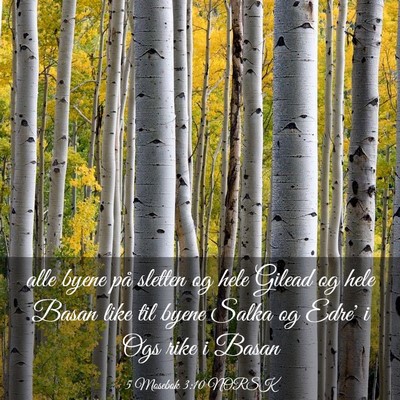 Picture 03 - 5 Mosebok 3:10 NORSK - alle byene på sletten og hele Gilead og hele - Bible Verse Picture