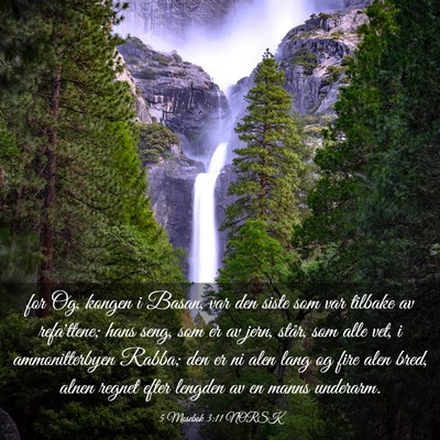 Picture 03 - 5 Mosebok 3:11 NORSK - for Og, kongen i Basan, var den siste som var - Bible Verse Picture