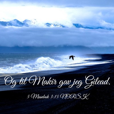 Picture 03 - 5 Mosebok 3:15 NORSK - Og til Makir gav jeg - Bible Verse Picture