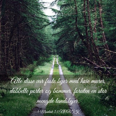 Picture 03 - 5 Mosebok 3:5 NORSK - Alle disse var faste byer med høie murer, - Bible Verse Picture