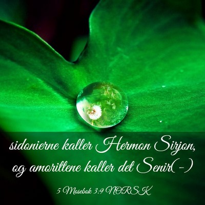 Picture 03 - 5 Mosebok 3:9 NORSK - sidonierne kaller Hermon Sirjon, og amorittene - Bible Verse Picture