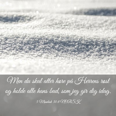 Picture 03 - 5 Mosebok 30:8 NORSK - Men du skal atter høre på Herrens røst og - Bible Verse Picture