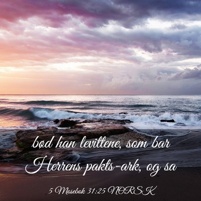 Picture 03 - 5 Mosebok 31:25 NORSK - bød han levittene, som bar Herrens pakts-ark, og - Bible Verse Picture