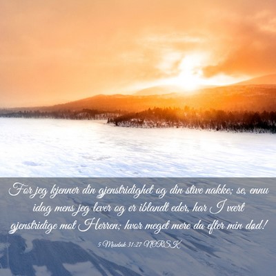 Picture 03 - 5 Mosebok 31:27 NORSK - For jeg kjenner din gjenstridighet og din stive - Bible Verse Picture