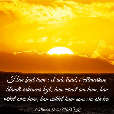 Picture 03 - 5 Mosebok 32:10 NORSK - Han fant ham i et øde land, i villmarken, blandt - Bible Verse Picture