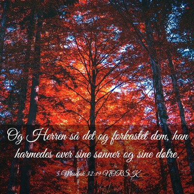 Picture 03 - 5 Mosebok 32:19 NORSK - Og Herren så det og forkastet dem, han harmedes - Bible Verse Picture