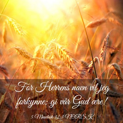 Picture 03 - 5 Mosebok 32:3 NORSK - For Herrens navn vil jeg forkynne; gi vår Gud - Bible Verse Picture