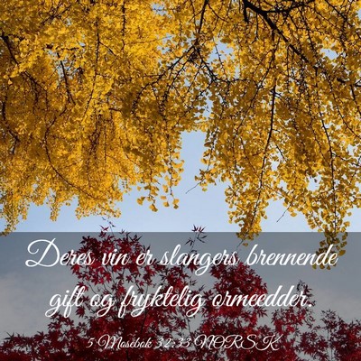 Picture 03 - 5 Mosebok 32:33 NORSK - Deres vin er slangers brennende gift og fryktelig - Bible Verse Picture